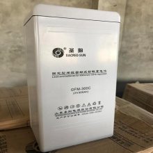 ֱͨŵ GFM-300C 2V300AHʥ Ǧά