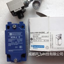 籸 telemecaniqueλ XCKJ10513H29C