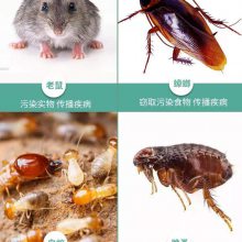 ɱץṩ롢