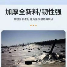 �˹�������HDPE����һĤ������ʹ��50�겻©ˮ