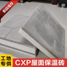 垂直缝好 CXP保温砖 b2级挤塑板价位一立方