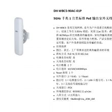 DH-WBC5-90AC-01P 1׼PoE