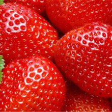 ͷͲݮͲݮι
