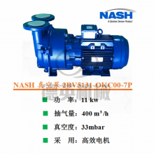 供应2BV5110OKC007P佶缔纳士NASH真空泵