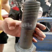 ˫ͷ˨ ˰˨ ˨ ɰ趨