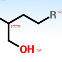 己基癸醇；2-己基-1-癸醇；2-己基癸醇；格尔伯特醇C16；异构醇C16；16醇；