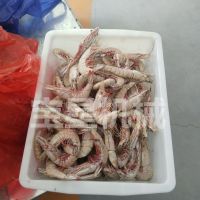Ϻٶ豸 Ϻٶ ʽ䶳