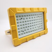 LED40W-ExdIICT6-IP65-AC220Vled