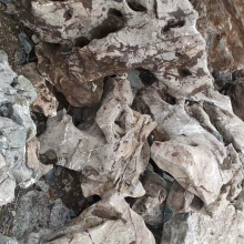 白色太湖石摆件 广西太湖石石场在哪里 广西太湖石和真太湖石窟窿石