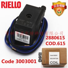 RBL·RL250ȼջŷȦо·ֲ2880615 2576539