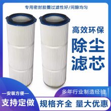 工业粉尘除尘滤芯 滤筒纳米阻燃PTFE覆膜防静电325x600粉尘过滤器