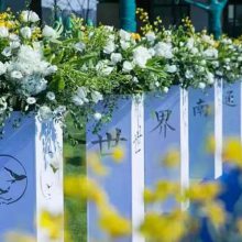 西安承接开工活动，舞狮演出，企业乔迁，乔迁揭牌