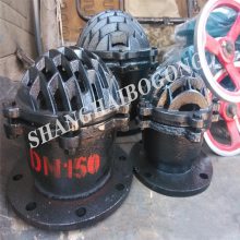 H42X升降式底阀 H42X-40 铸铁法兰底阀 橡胶密封底阀 立式止回底阀