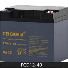 ̹ͨFC12-100FT 12V 100AHάǦƶϵͳ