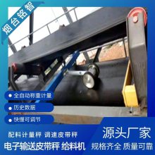 铭智皮带秤 煤矿计量秤 定量给料机 配料秤 密封性好 防爆输送 定制