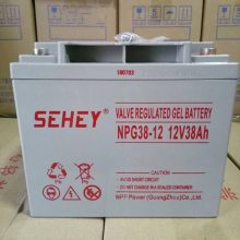 SEHEY SH38-12 Ǧά12V38AH  UPS EPS ֱ