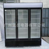 超市饮料展示柜 药品阴凉柜 水果保鲜柜 工厂定制 非标定做
