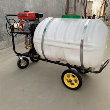 苹果树林除草除虫喷雾器 汽油喷药机 小型农用消毒打药机