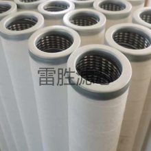 天然气滤芯 PCHG-572 天然气聚结管道滤芯 雷胜 多种规格