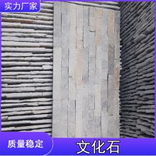 Ļʯǽש20x40 ڳ Ӧ  WHS38ͺ