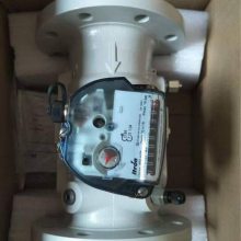 Itron  TZ150 G1000ƣTZ 150 G 1000    