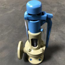 厂家直供 A48Y-16C 弹簧全启式安全阀 碳钢材质 法兰连接 可按需定制 DN350