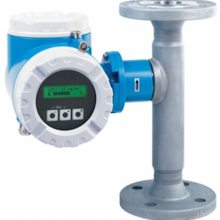 E+H˹˹Proline T-mass 65F 