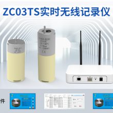 ǲ ZC03TSʵʱ¶ѹ̽ͷ ¶ȼ¼