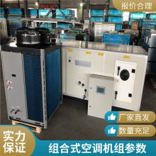 吊顶式空调机直膨式空调机组恒温恒湿机组制冷设备 风冷直膨式全新风空调组合式