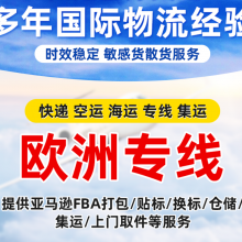 欧洲海派专线运输车载收音机到德国,海运专线无需资料双清到门