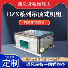  DZX-5ߴռ·յ յĩϵͳ Ǳ궨