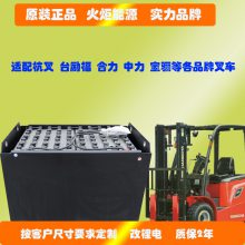 合力叉车蓄电池配件5PzS625 合力4吨电动叉车电瓶 80V62***h