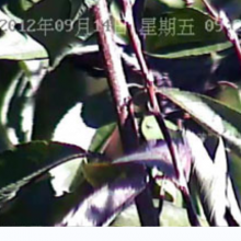 \̩(lin)JT-HJ12gh(hun)(sh)O(jin)ϵy(tng)(yng)ÏV