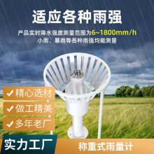 雨雪量计 通用型高精度称重式雪雨量计 可加热 称重式雨雪量监测设备