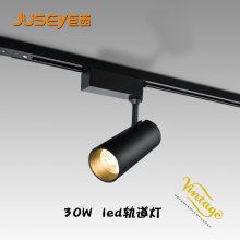 ledֱͲ װ۹⵼20w 30wչװCOB