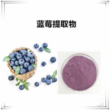 蓝莓提取物10:1 速溶粉 水溶 喷雾干燥 多规格可定制 沃特莱斯