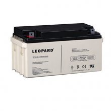 LEOPARDޱHTS12-5***H 12V5***Hܷⷧʽ