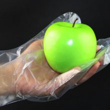 ӦСһ