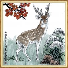 Ҿ޽ʦ緶¯漣ղ