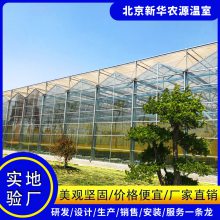 玻璃温室大棚 玻璃大棚温室 智能温室大棚 北京新华农源温室工程公司