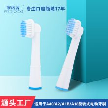 电动牙刷头植毛加工定制 全自动牙刷种植毛工厂 深圳毛刷植毛厂