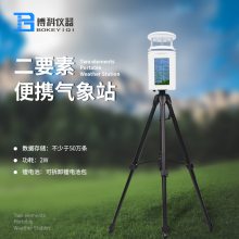 Яʽ̽豸 BK-PQX2 ƶվ Яվ