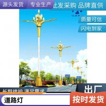 LED中国结灯路灯杆道路装饰造型灯新农村电线杆福字中华结景观灯