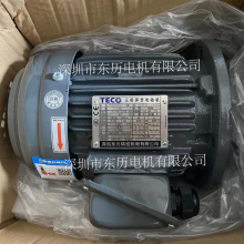 TECO无锡东元电机AEUFE3型号TEMH803-4YU 1HP 0.75KW立式马达380V