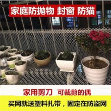 养鸟猫狗笼子底网 空调用塑料网 植物爬藤塑胶网