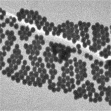 Ӧ ɢۼ׻ϩ΢ (PMMA΢) 5um-20um 25mg/ml 10ml