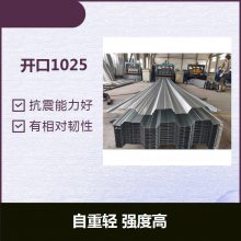 1025  ǿȸ ܼٹ 
