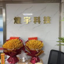 лƼ޹˾