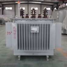 s11ѹ s11-160kva/10 ȫܷԵ ˫ ʵ