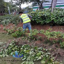 承接老旧路改造工程 凯中施工地下管网改造工程队